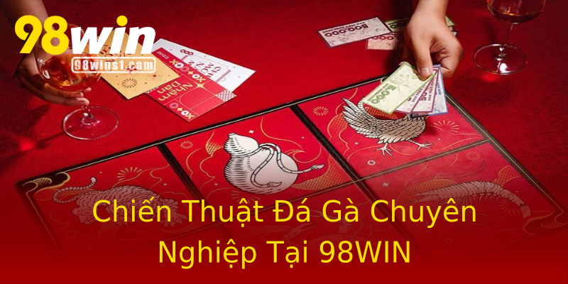 Chiến Thuật Đá Gà Chuyên Nghiệp Tại 98WIN Chiến Thuật Đá Gà Chuyên Nghiệp Tại 98WIN