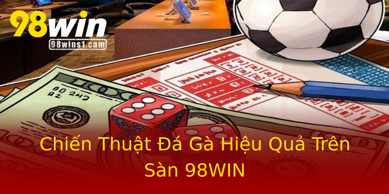 Chiến Thuật Đá Gà Hiệu Quả Trên Sàn 98WIN Chiến Thuật Đá Gà Hiệu Quả Trên Sàn 98WIN