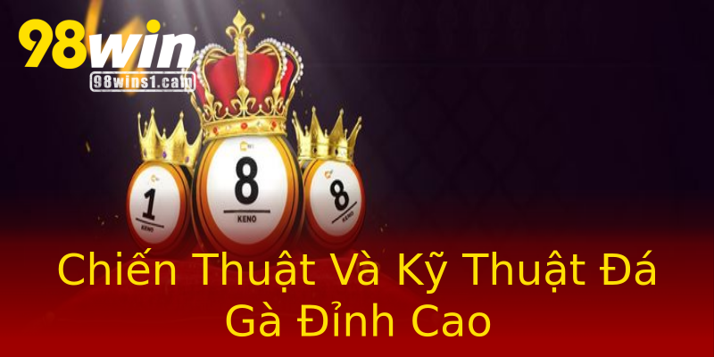 Chiến Thuật Và Kỹ Thuật Đá Gà Đỉnh Cao Chiến Thuật Và Kỹ Thuật Đá Gà Đỉnh Cao