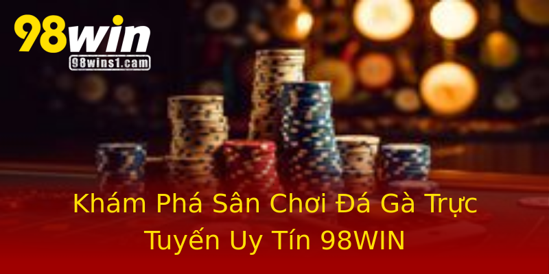 Khám Phá Sân Chơi Đá Gà Trực Tuyến Uy Tín 98WIN Khám Phá Sân Chơi Đá Gà Trực Tuyến Uy Tín 98WIN