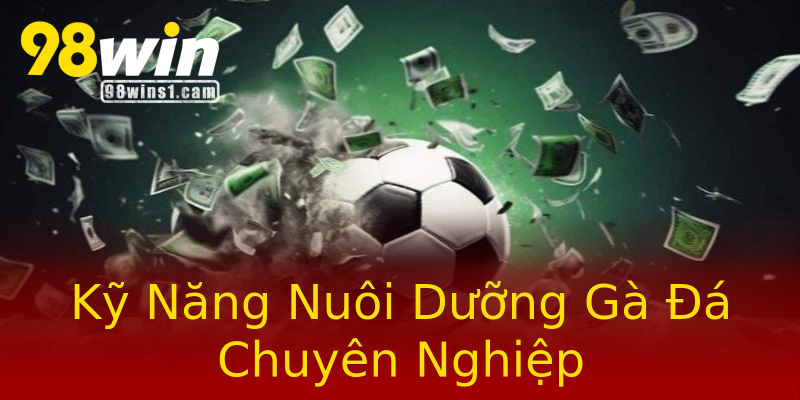 Kỹ Năng Nuôi Dưỡng Gà Đá Chuyên Nghiệp Kỹ Năng Nuôi Dưỡng Gà Đá Chuyên Nghiệp